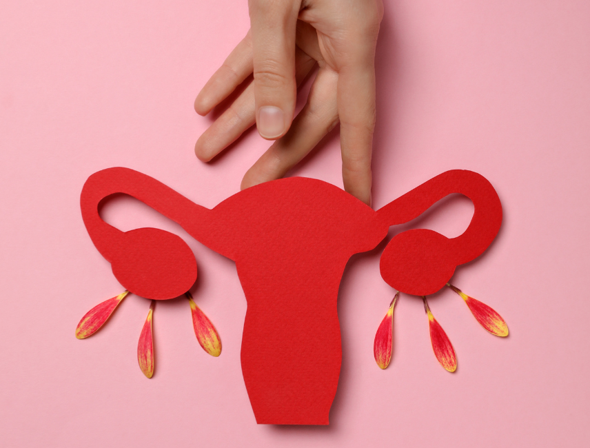 Menopause: Symptoms, Treatment and Tips for a Healthy Life